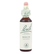 Beech