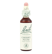 Cherry Plum