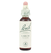 Larch Bach Flower Remedy 20ml